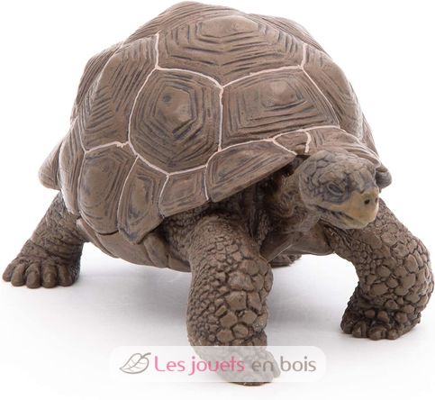 Galapagos-Schildkrötenfigur PA50161-3929 Papo 6