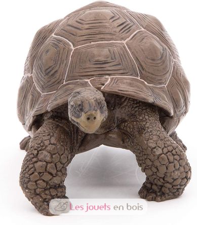 Galapagos-Schildkrötenfigur PA50161-3929 Papo 5