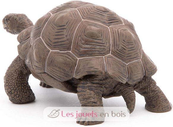 Galapagos-Schildkrötenfigur PA50161-3929 Papo 3