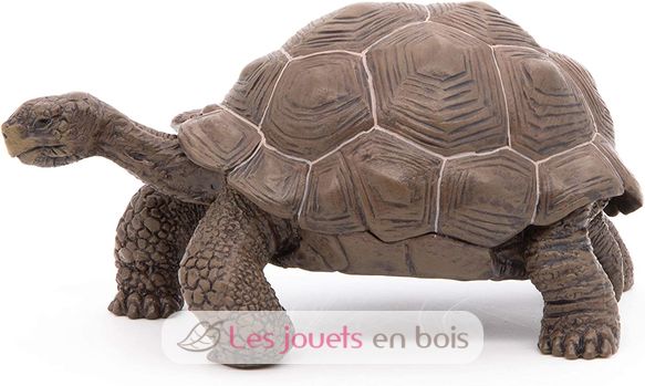 Galapagos-Schildkrötenfigur PA50161-3929 Papo 2