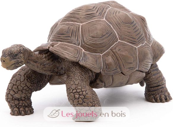 Galapagos-Schildkrötenfigur PA50161-3929 Papo 1