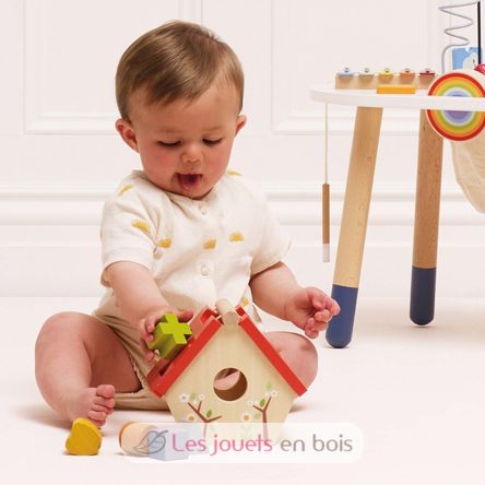 Meine kleine Voliere Form Sorter LTV-PL085 Le Toy Van 4