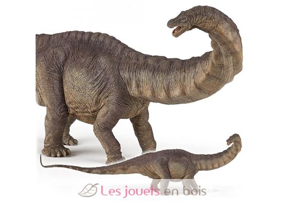 Apatosaurus-Figur PA55039-4800 Papo 2