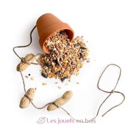 10 Vogelfutterhäuschen zum Selbermachen RC-143194 Radis et Capucine 3