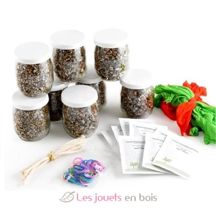 DIY Box - Ich lasse Mr. Gras Haare wachsen RC-143193 Radis et Capucine 3