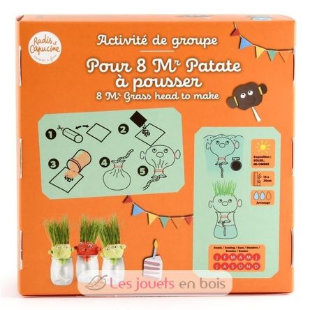 DIY Box - Ich lasse Mr. Gras Haare wachsen RC-143193 Radis et Capucine 4