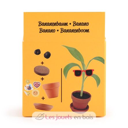 Ich züchte meinen Bananenbaum RC-014265 Radis et Capucine 5