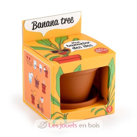 Ich züchte meinen Bananenbaum RC-014265 Radis et Capucine 1