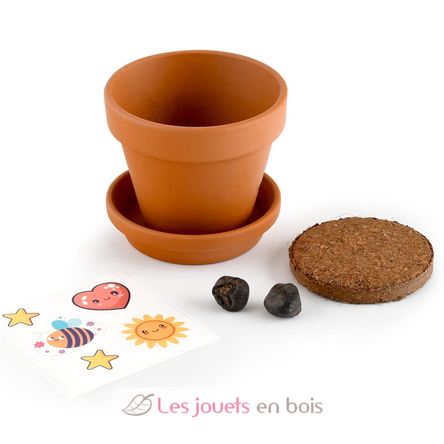 Ich züchte meinen Bananenbaum RC-014265 Radis et Capucine 4