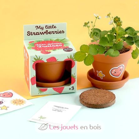 Ich züchte meinen Erdbeere RC-027913 Radis et Capucine 5