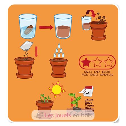 Ich züchte meine Riesenbohne RC-140967 Radis et Capucine 3