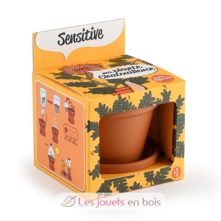 Ich züchte meinen Mimosa RC-025965 Radis et Capucine 1