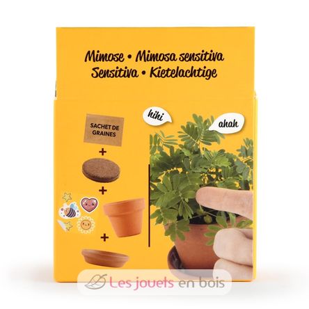 Ich züchte meinen Mimosa RC-025965 Radis et Capucine 5