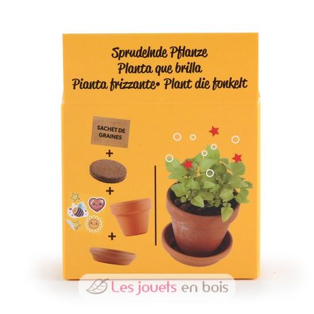 Ich züchte meinen funkelnde Pflanze RC-029637 Radis et Capucine 4