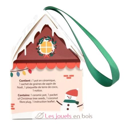 Mein Weihnachtsbaum zum Selberziehen RC-143304 Radis et Capucine 2