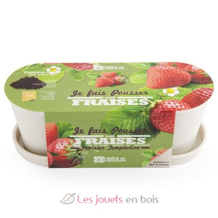 Bambustopf mit Erdbeeren RC-036966 Radis et Capucine 4