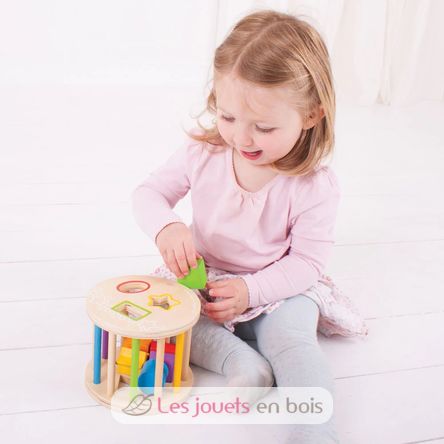 Rollendes Steckspiel BJ-BB096 Bigjigs Toys 4