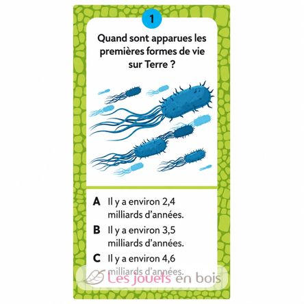 Mega-Atlas der Dinosaurier SJ-307568 Sassi Junior 3