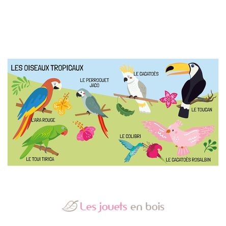 Buch und Puzzle Die Vögel SJ-329331 Sassi Junior 4