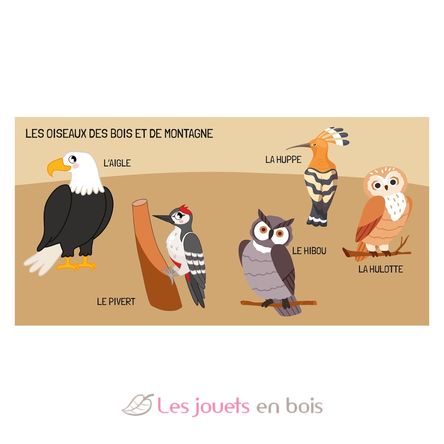 Buch und Puzzle Die Vögel SJ-329331 Sassi Junior 5