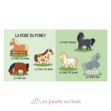 Buch und Puzzle Die Ponys SJ-329898 Sassi Junior 4