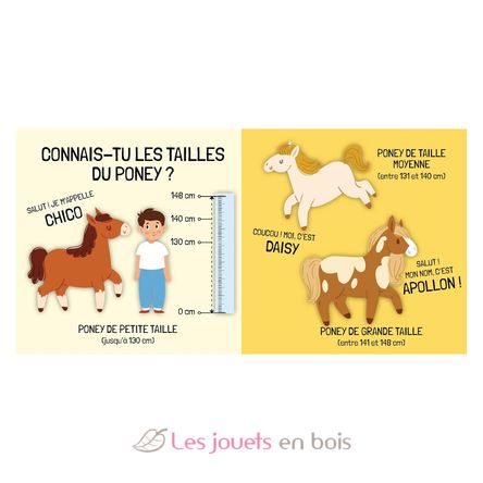 Buch und Puzzle Die Ponys SJ-329898 Sassi Junior 5