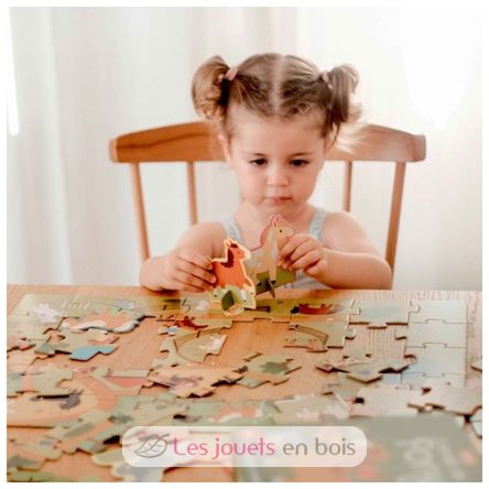 Buch und Puzzle Die Ponys SJ-329898 Sassi Junior 6
