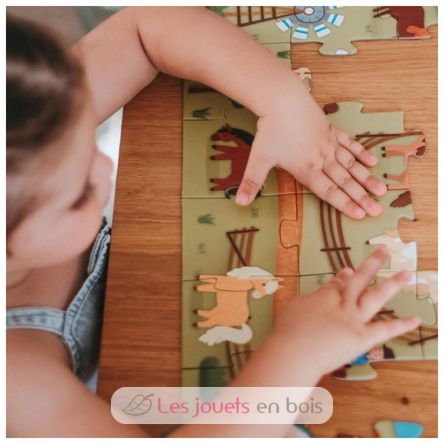 Buch und Puzzle Die Ponys SJ-329898 Sassi Junior 7