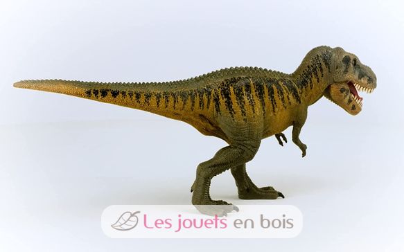 Tarbosaurus SC-15034 Schleich 5