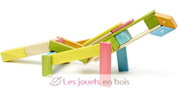24-Stück Set Tints TG-24P-TNT-306T Tegu 10