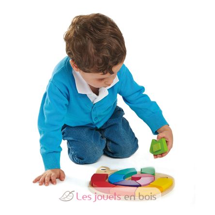 Color Me Happy TL8420 Tender Leaf Toys 3