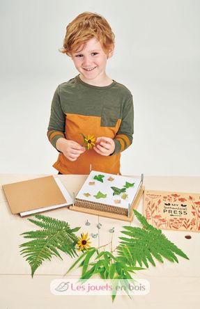 Meine botanische Presse TL8423 Tender Leaf Toys 5