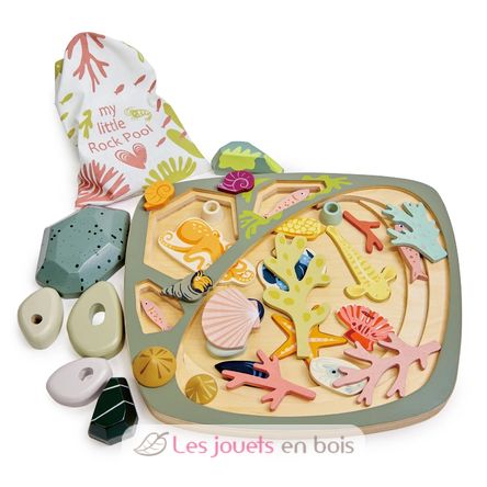 Mein kleines Felsenbecken TL8486 Tender Leaf Toys 4