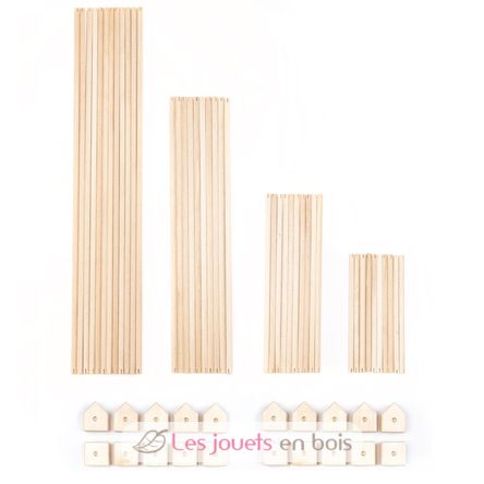 Trigonos Family Bio Arbaro TG-FAMILY-ARBARO Trigonos 6