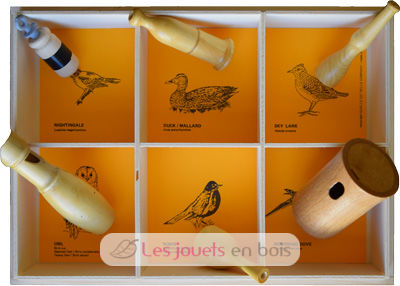 6 Lockvogels - American Birds QBC-americanbirds Quelle est Belle Company 1