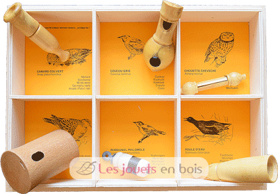 lockvogel - 6 Nester Europäischen Vögel QBC-6nids-oiseaux d'europe Quelle est Belle Company 1